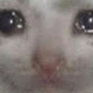 Meet your Posher, Pew